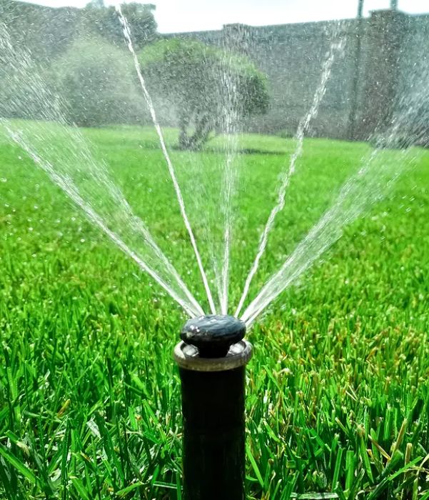 Water from a sprinkler cascades over a vibrant lawn, enhancing the greenery and providing hydration.