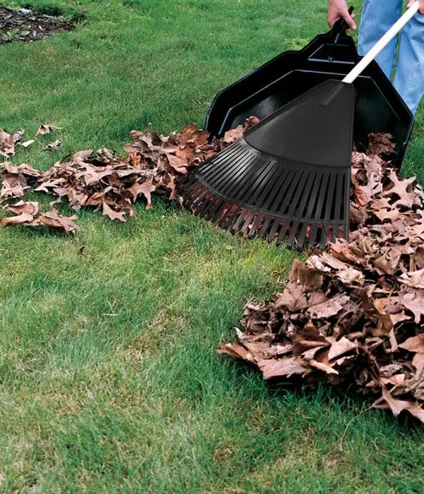 A man is actively using a leaf rake to gather leaves in a yard surrounded by trees.