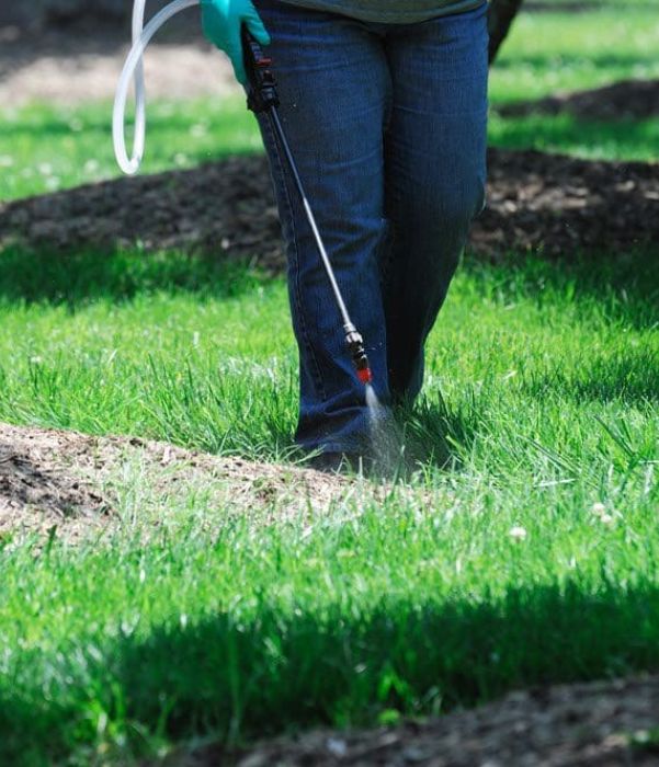 A person applies spray to grass using a handheld sprayer, focusing on maintaining a healthy lawn.