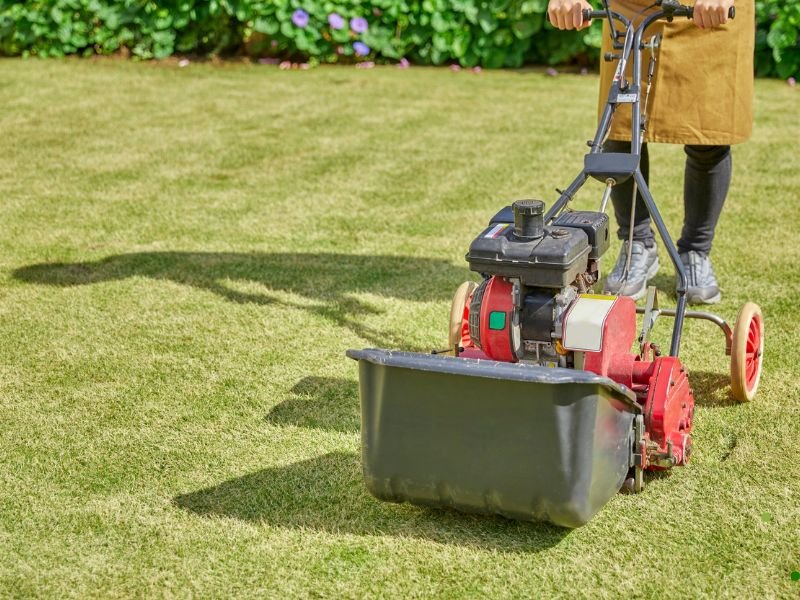 Common Mistakes to Avoid When Reseeding in Dallas