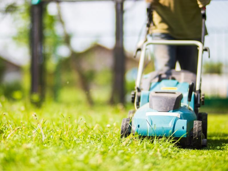 A well-maintained summer lawn isn’t just about looks—it’s about creating a resilient foundation.
