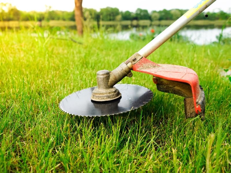 Customizing Lawn Maintenance Schedule