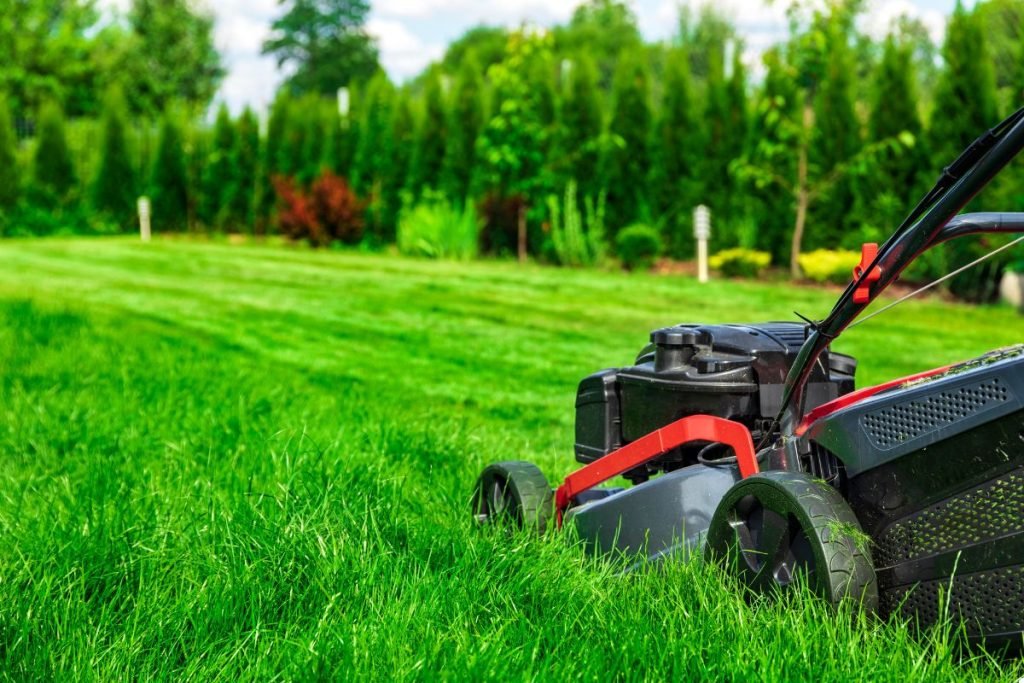 A lawn mower rests on a patch of green grass, ready for use in maintaining the lawn's appearance.