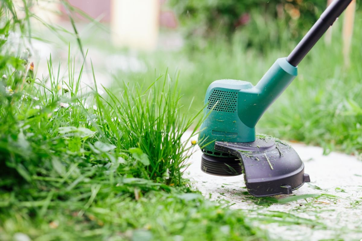 A lawn mower trims the grass in a yard, highlighting the care taken to maintain a lush and orderly landscape.