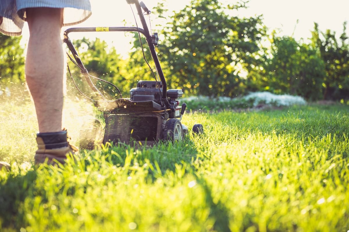 A person operating a lawn mower, efficiently trimming grass in a vibrant green garden setting.